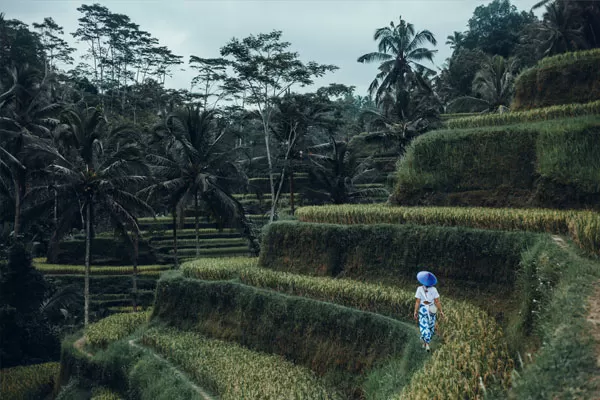 Impian Pengalaman Anda di Bali Dimulai Di Sini